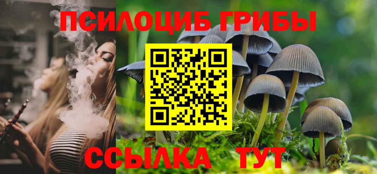 сколько стоит  Галлюциногенные грибы ЛСД  Вход с VPN  Сертолово  Псилоцибиновые грибы Psilocybine cubensis 